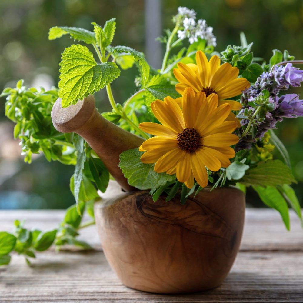 Mint, rosemary, basil and lavender aromatic leaves, on a wooden table. Fresh herbs in a mortar, herbal medicine, alternative healing, copy space